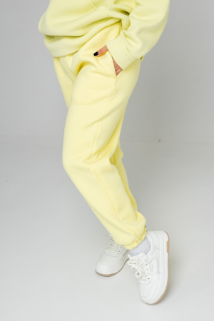 детальная картинка Брюки  Chill 2 с начесом в интернет-магазине швейной фабрики "Нарпи" Брюки  Chill 2 с начесом фото в интернет-магазине швейной фабрики "Нарпи"